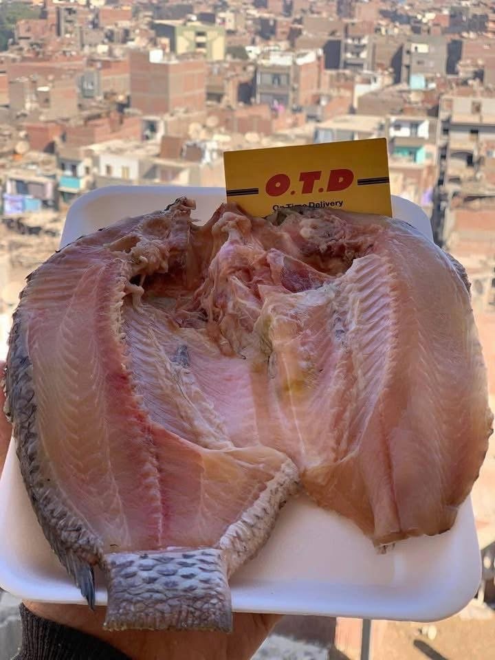 السمك البلطي